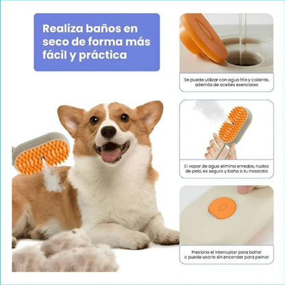 2 PROBIOCAN CON CEPILLO A VAPOR